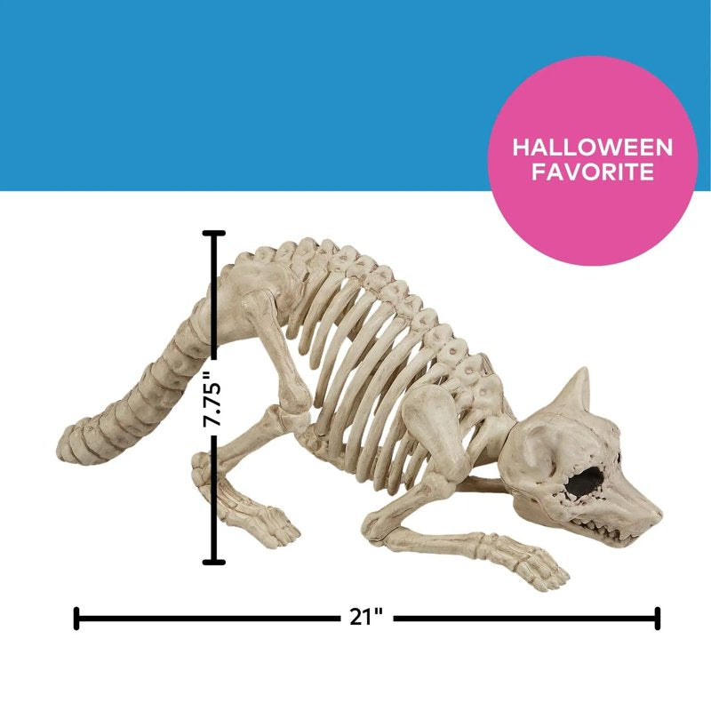Halloween Raccoon Skeleton Decoration - 21 Inch Weatherproof Plastic Figure