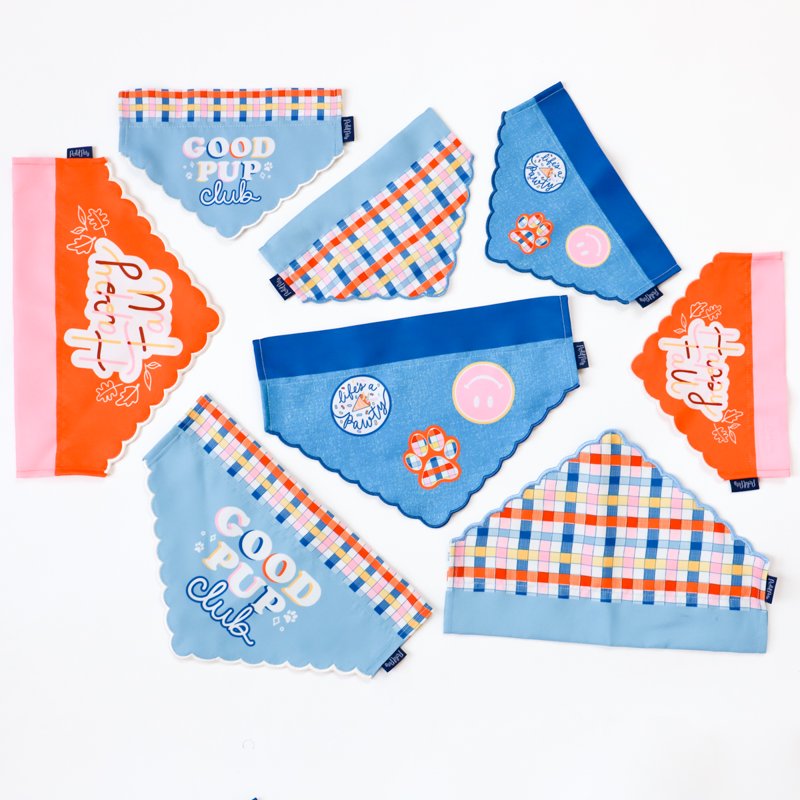 Pet Bandana for Dogs - Small/Extra Small, Pack of Patches