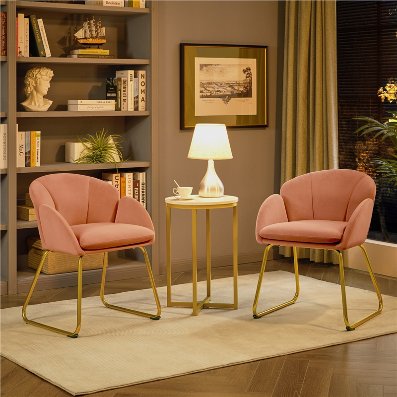 Pink Velvet Armchair Set with Gold Metal Legs - 2 Pieces