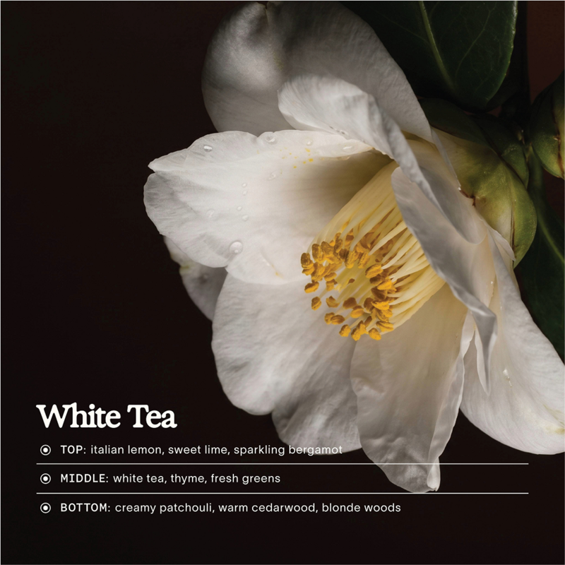 Whole Body Deodorant Spray, Aluminum-Free White Tea Scent, 3 fl oz
