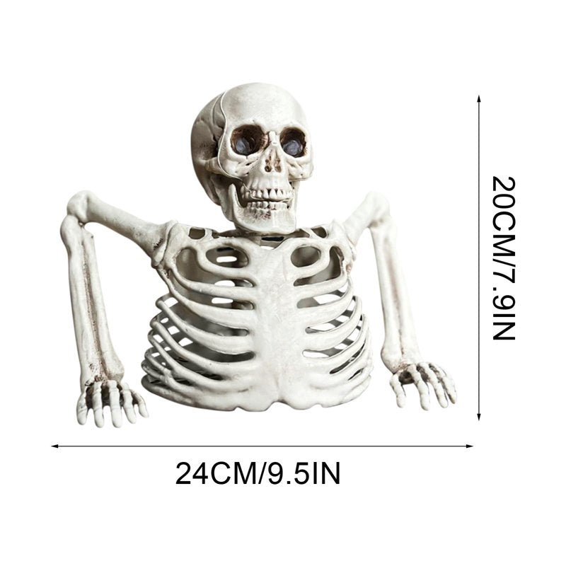 Outdoor Halloween Skeleton Prop - White Plastic Half Skeleton Decoration