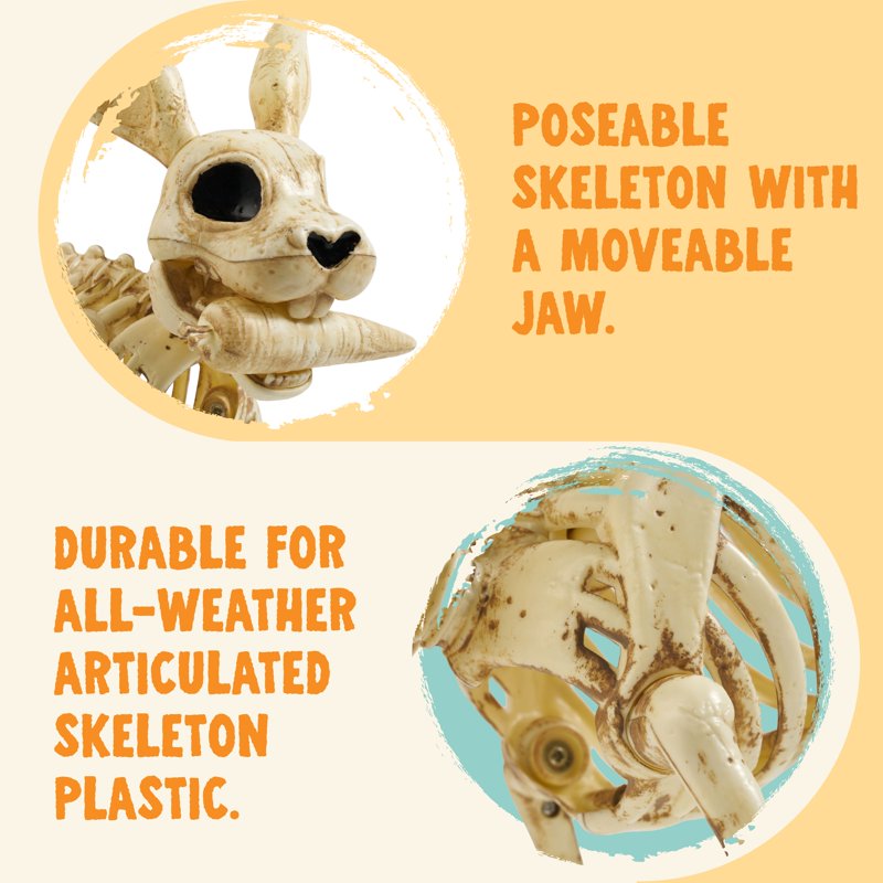 Joyfy Rabbit Skeleton - Animal Skeleton Model for Education & Decor - Rabbit Variation