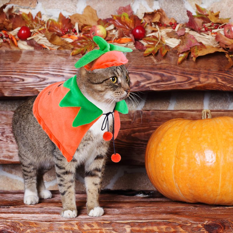 Pet Halloween Costume Pumpkin Cloak & Hat Set - Adjustable for Cats & Kittens - S (Neck 12-17 In)