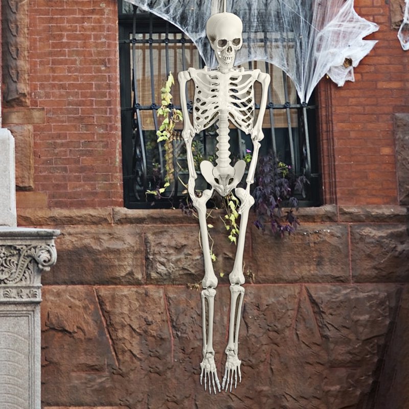 Life-Size Poseable Skeleton Prop for Halloween and Decorations - 5.4ft