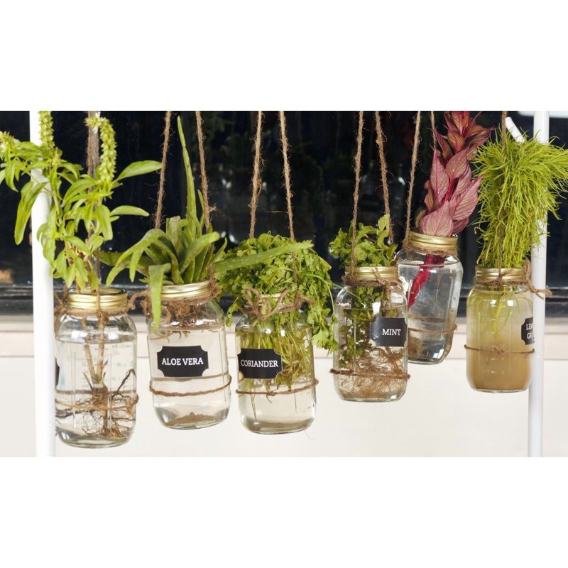 32 oz Mason Jars - 2 Pack Regular Mouth Quart Canning Jars with Lids