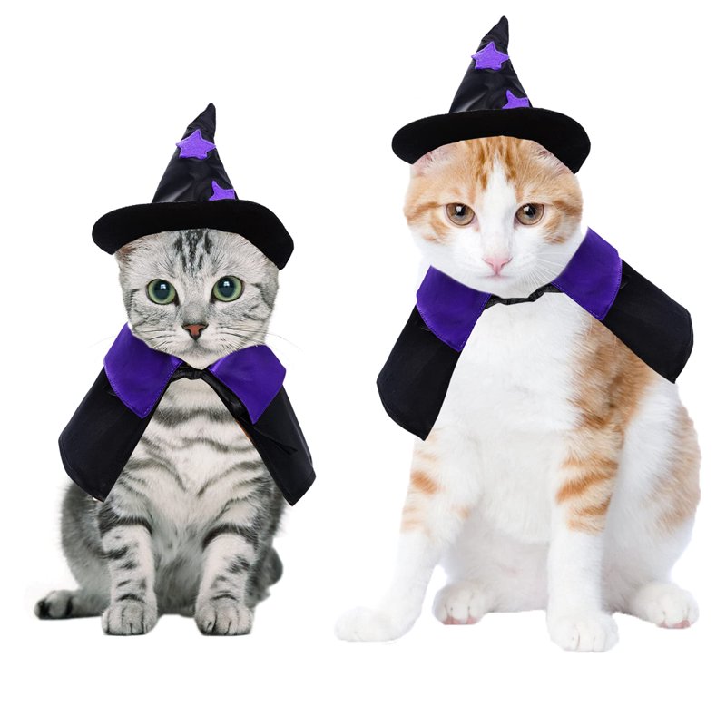 Pet Halloween Costume Wizard Cloak & Hat for Cats Dogs - Variation Witch A S