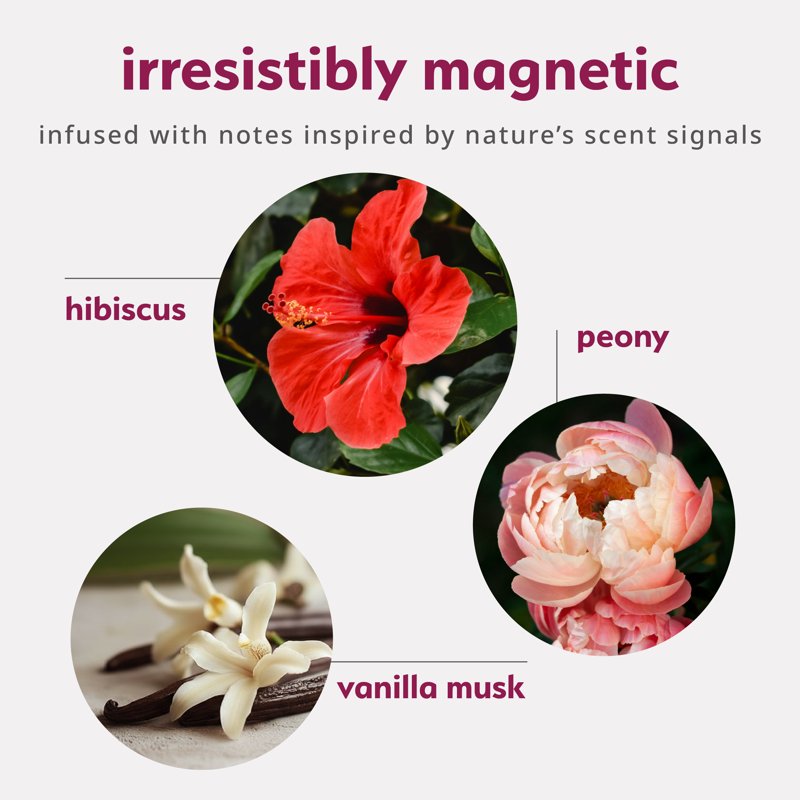 Floral Vanilla Musk Perfume Oil – Pheromone-Inspired Fragrance