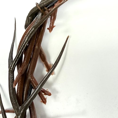 Brown Crown of Thorns 8-10" Diameter Passion of Christ Crown of Thorns Easter Tree Decorations Ornament mini Church for Sanctuary Prop Corona de espinas de Jesus(8-New)