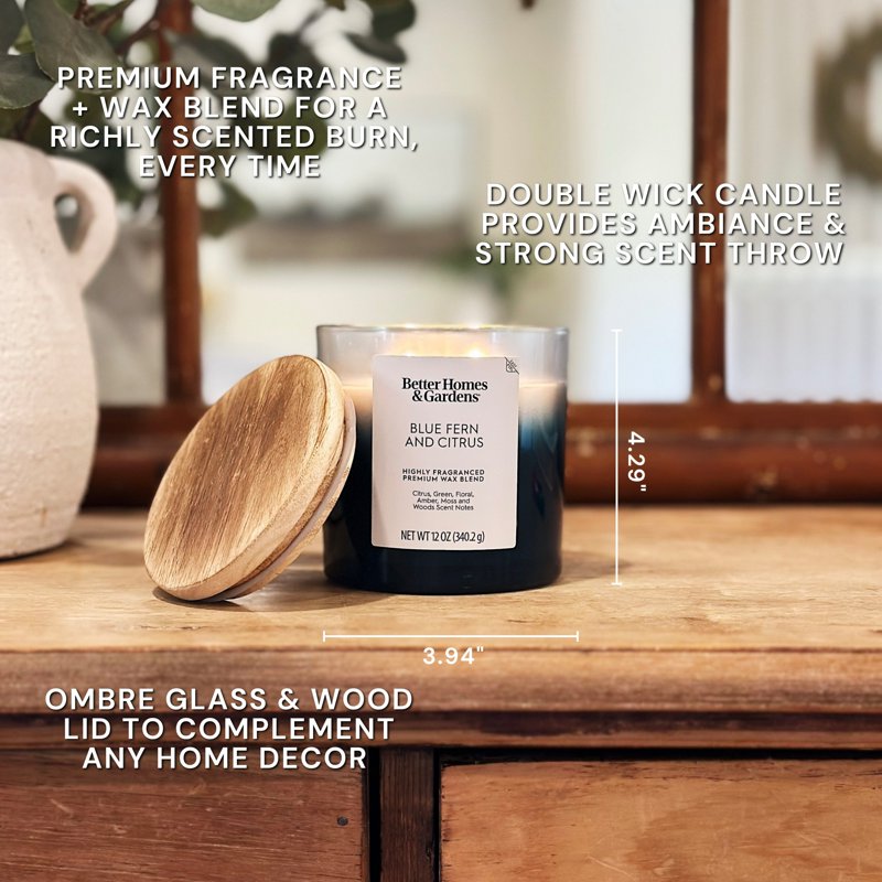 Blue Fern and Citrus Scented 2-Wick Ombre Jar Candle - 12 oz