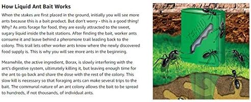 Terro Ant Bait Stations - Effective Liquid Formula for Quick Ant Control | 8-Pack