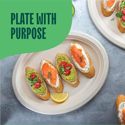 100% Compostable Oval Paper Plates 12.5 inch [500-Bulk Pack] - (PFAS-Free) - (BPI Certified) Heavy Duty, Eco-Friendly, Biodegradable Bagasse Dinner Plates - Natural Brown 12.5" Plate