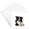 3dRose CST_21077_4 Border Collie Ceramic Tile Coasters, Set of 8