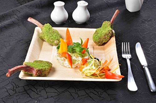 ATMOS GREEN 100 pack 10" Square Palm Leaf Dinner Plate Compostable disposable premium heavy duty Eco-Friendly Microwave Refrigeration safe Bamboo like Wedding Events Party