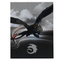 How to Train Your Dragon Toothless Kids Bedding Super Soft Plush Cozy Throw, 46 in x 60 in, (Officially Licensed Product) by Franco