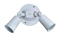 Craftmade PH-2W Outdoor PAR Holder, 2-Light 300 Total Watts, White