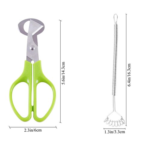 Quail Egg Scissors, Egg Yolk Separator, Stainless Steel Whisk (3 PCS)