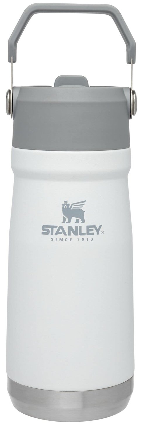 STANLEY IceFlow Flip Straw Water Bottle 17 oz | Built-In Straw for Travel and Sports | Lightweight and Leak Resistant | Insulated Stainless Steel | BPA-Free | Polar