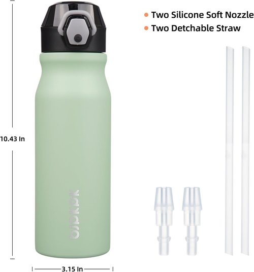 BJPKPK Insulated Water Bottle - 25oz Stainless Steel Flask with Straw & Carry Handle - Sage Color