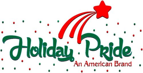 Holiday Pride White Christmas Tree Lights - 100 Clear White String Lights on White Wire - 24 Ft for Indoor/Outdoor Use