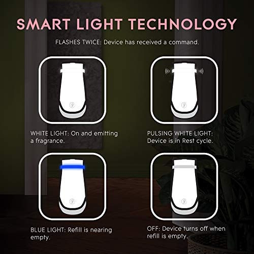 Glade PlugIns Plus Refills Air Freshener Starter Kit, Clean Linen, Scented and Essential Oils for Home and Bathroom, 0.67 Fl Oz, 1 Warmer + 3 Refills