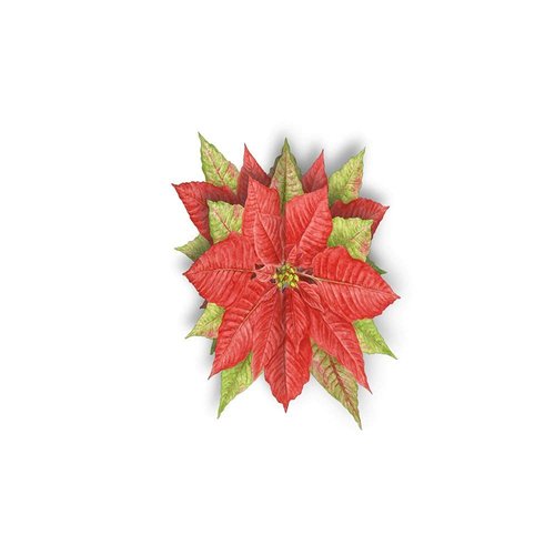LANG Poinsettia Ornament Christmas Cards (1116009)