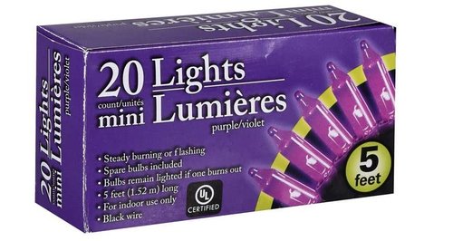 Greenbrier International Purple Halloween Mini Lights with Black Wire 20 Count 5 feet