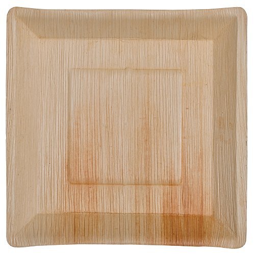 ATMOS GREEN 100 pack 10" Square Palm Leaf Dinner Plate Compostable disposable premium heavy duty Eco-Friendly Microwave Refrigeration safe Bamboo like Wedding Events Party