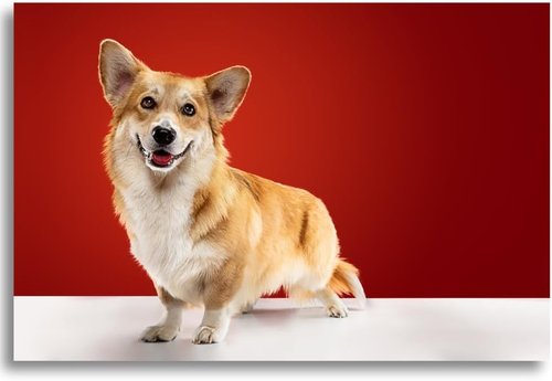 Best Photo Printing Service | Premium Custom Photo Prints - Glossy & Matte, Multiple Sizes Available