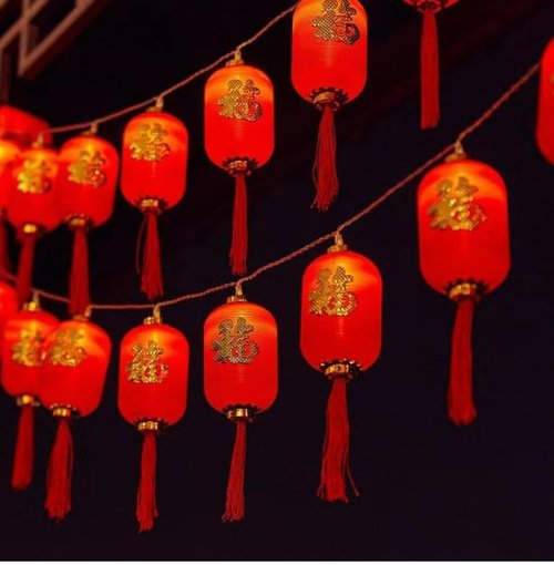 KYMY Chinese & Vietnamese New Year Red Lantern String Lights Set, 9.8ft/3M 20 LED Lanterns String Lamps, Battery Operated Fu Character Night Lights for Asian Spring Festival Lunar New Year Decor