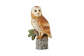 Enesco Jim Shore Heartwood Creek Barn Owl Bird Figurine, 6 Inch, Multicolor