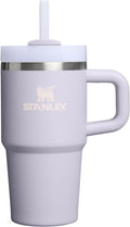 STANLEY Quencher H2.0 Tumbler - 20 oz Insulated Stainless Steel with Handle & Straw | BPA-Free | Purple Dust