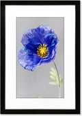 VNVNK 20x28 Black Picture Frame - Ideal for 20x28 Inch Photos Without Mat or 16x24 Inch With Mat | Home Wall Decor