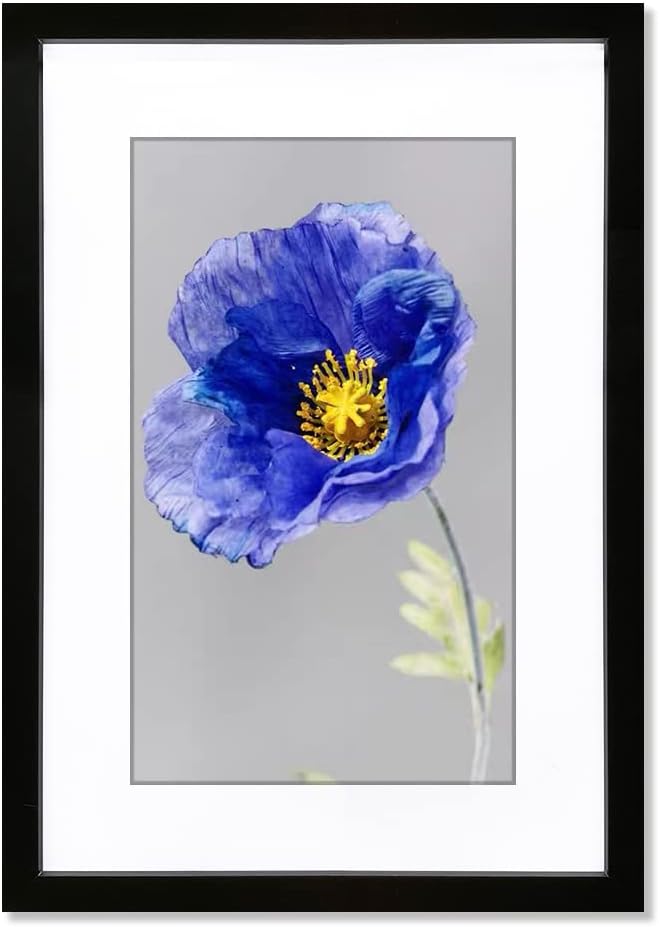 VNVNK 20x28 Black Picture Frame - Ideal for 20x28 Inch Photos Without Mat or 16x24 Inch With Mat | Home Wall Decor