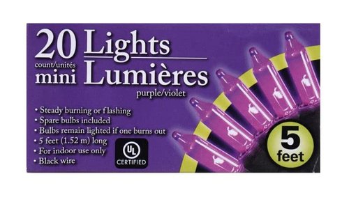 Greenbrier International Purple Halloween Mini Lights with Black Wire 20 Count 5 feet