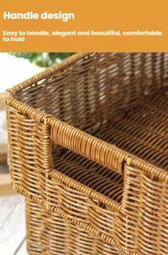 Regine Switzerland Plastic Storage Baskets - Durable Water-Resistant Organizers for Shelves & Cabinets | Set of 2, Dark Brown