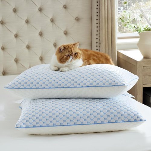 Bedsure Cooling Bed Pillows for Sleeping, Shredded Memory Foam Queen Pillows, Set of 2, Luxury Cover Made of Rayon Derived from Bamboo, Adjustable Firmness for Side, Back, Stomach, and Hot Sleepers