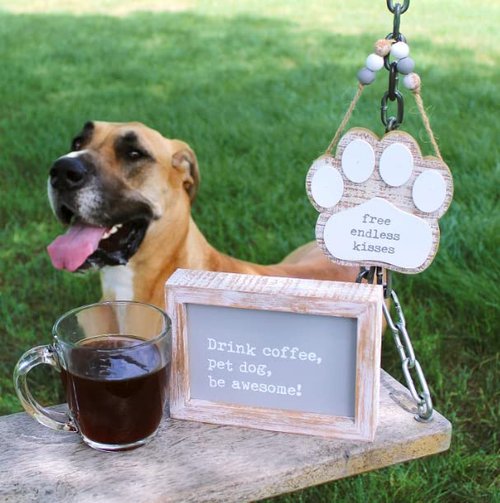 'Free Endless Kisses' Pawprint Sign