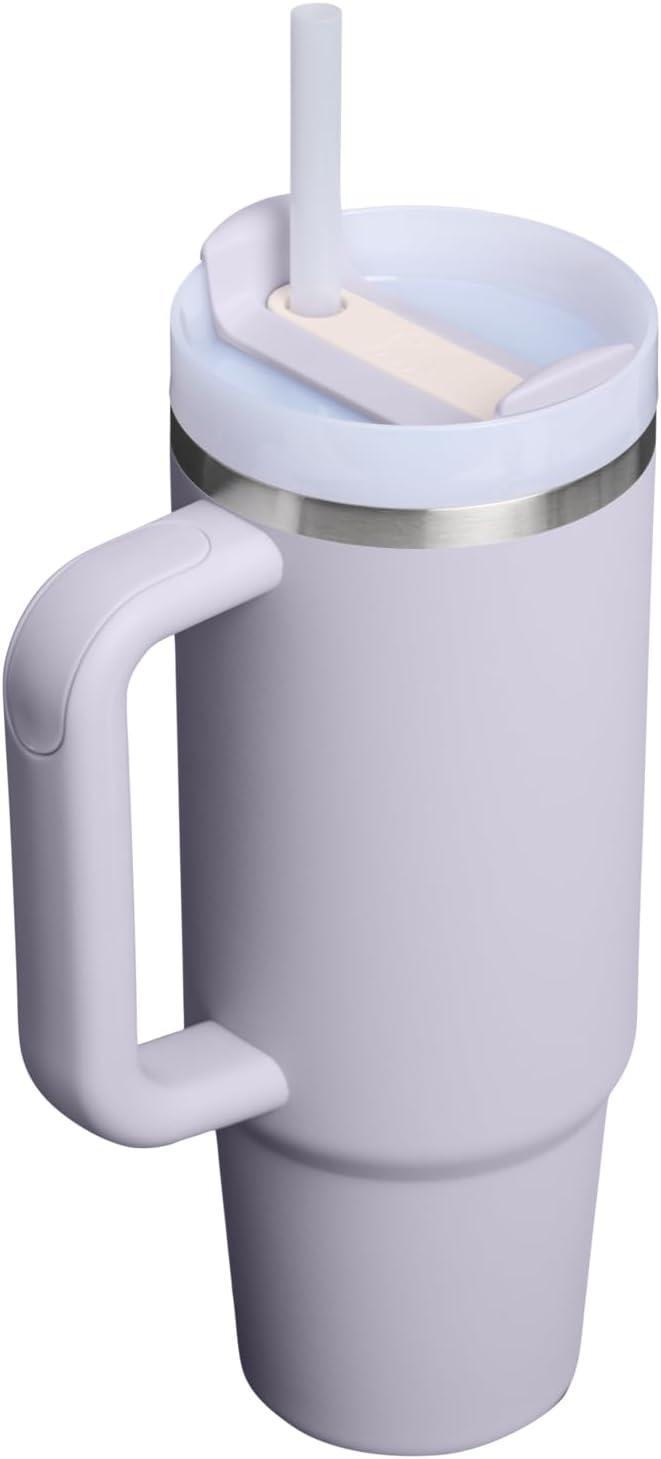 STANLEY Quencher H2.0 Tumbler - 30 oz Insulated Stainless Steel with Handle & Straw | BPA-Free | Purple Dust