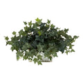 Nearly Natural Ivy with White Wash Planter Silk Plant