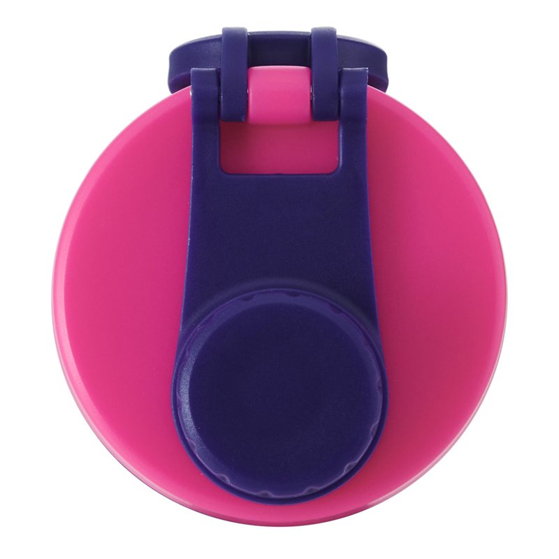 16 oz Stainless Steel Kids Water Bottle with Leakproof Chug Lid - Pink/Purple