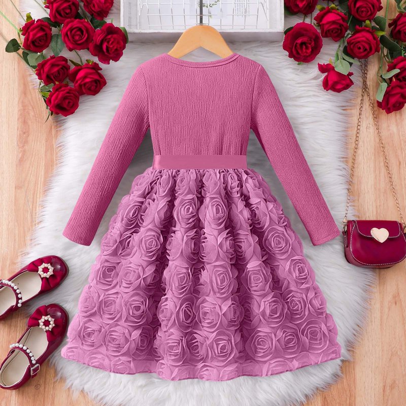 Pink Toddler Girl Dress with 3D Rose Tulle Long Sleeve Birthday Party Holiday