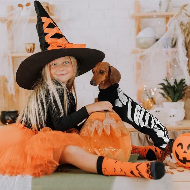 Willed Halloween Skeleton Pet Costume for Dogs & Cats - Size L