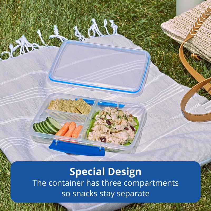 Large Divided Snack Container - 0.87 Quart Meal Prep Box
