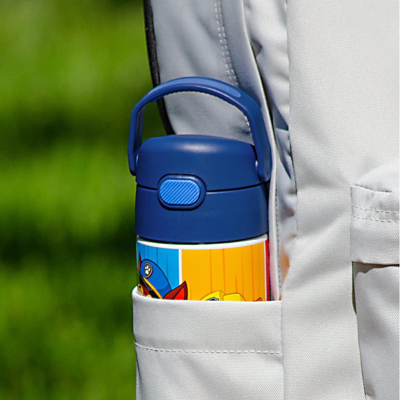 Kids Stainless Steel Insulated Water Bottle with Straw - Paw Patrol, 4 Pack