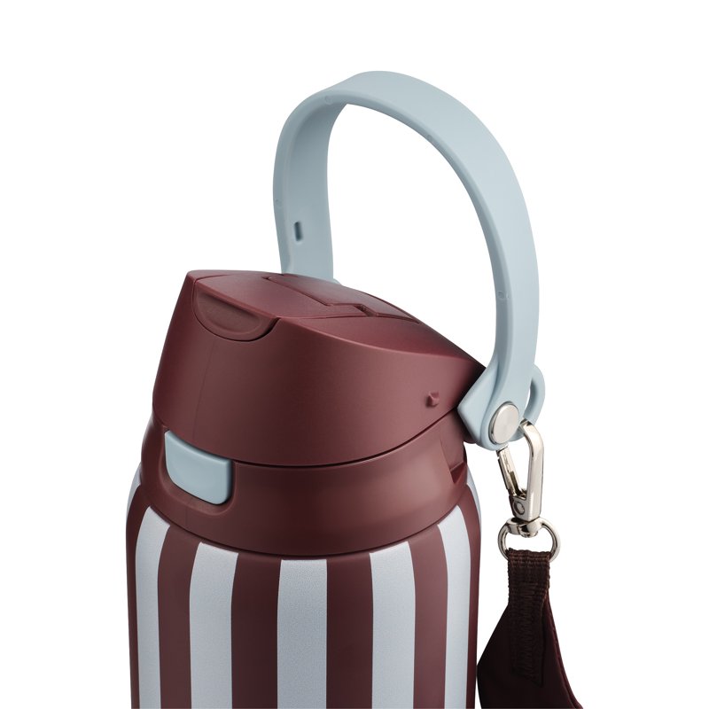 32oz Stainless Steel 2-in-1 Straw and Chug Water Bottle - Stripes