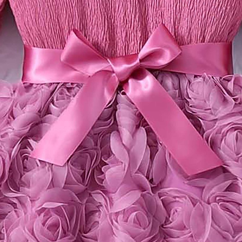 Pink Toddler Girl Dress with 3D Rose Tulle Long Sleeve Birthday Party Holiday