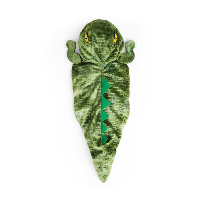 Small Dinosaur Pet Costume Halloween Hoodie for Pets - Petco