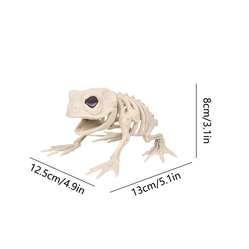 Frog Skeleton Decoration - Realistic Animal Bone Model for Halloween & Education, 5.1 Inch White Plastic