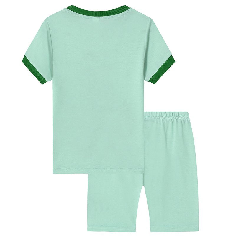 Toddler Boys Cartoon Printed Casual Shorts Outfit - Light Green 2-3 Years
