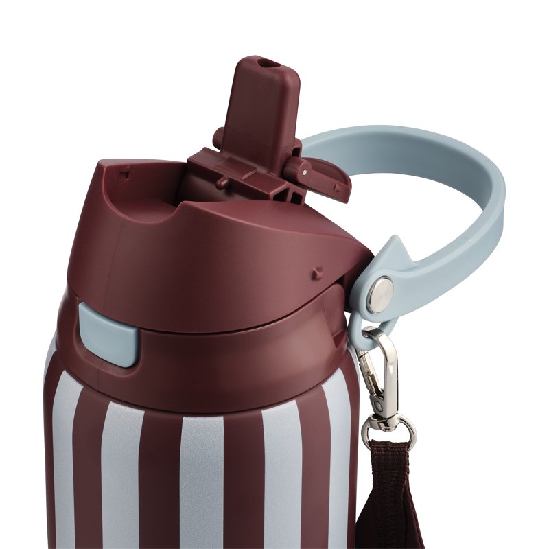 32oz Stainless Steel 2-in-1 Straw and Chug Water Bottle - Stripes